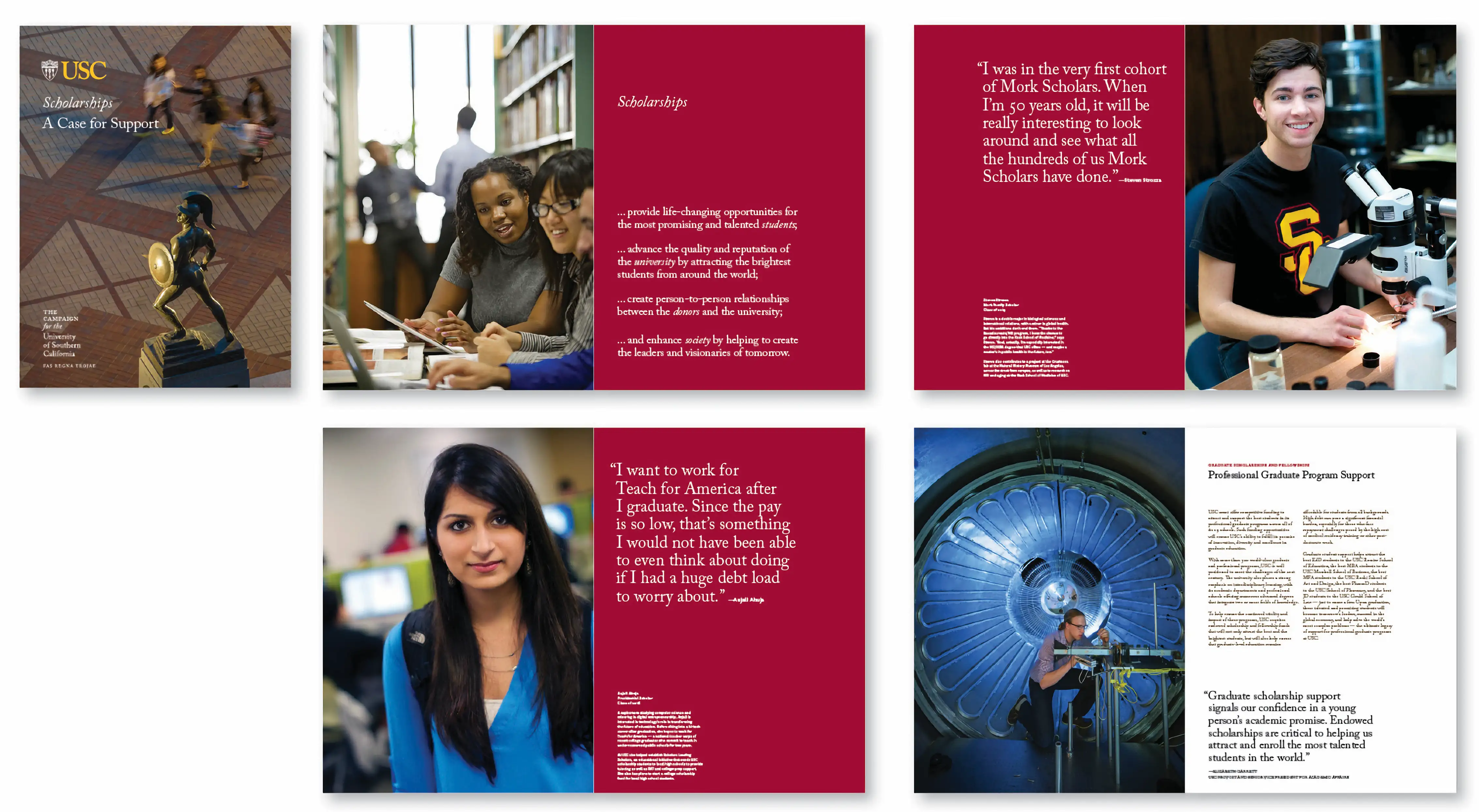 scholarship case for support